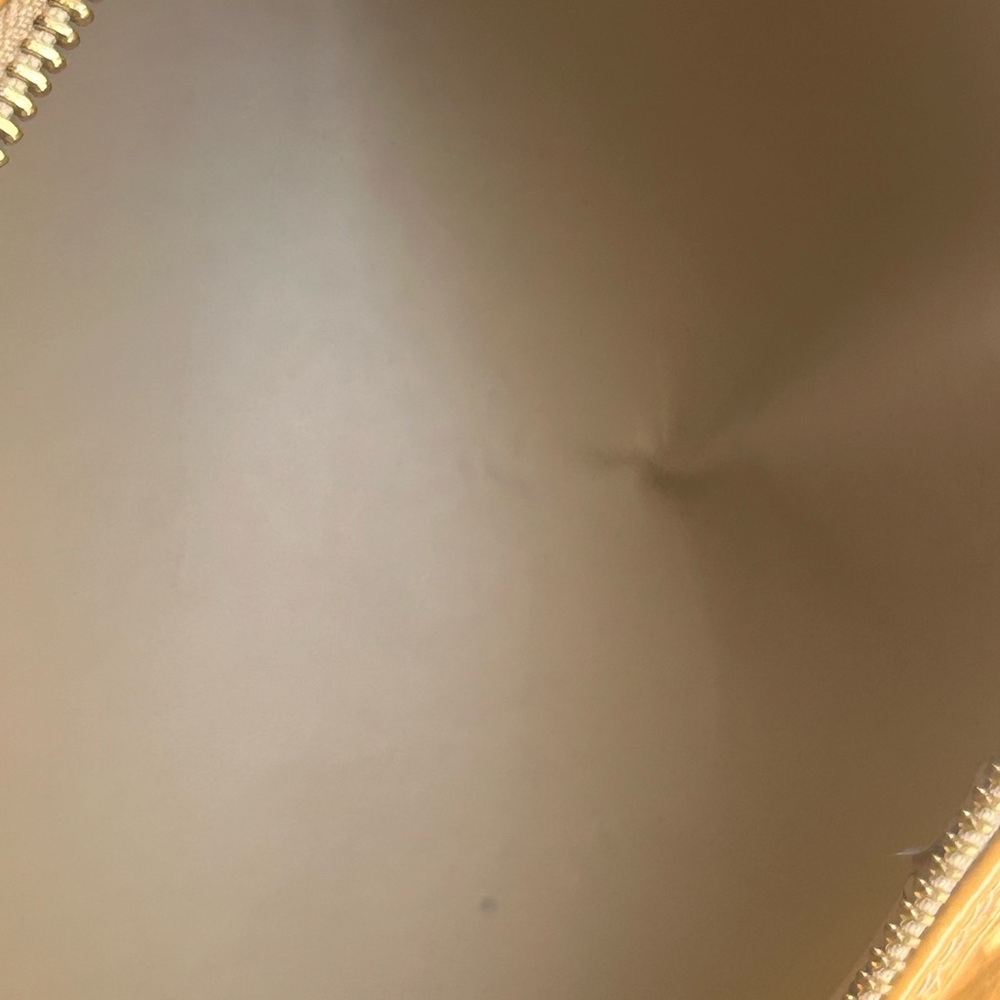Louis Vuitton Monogram Vernis Papillon bag - Picture 15 of 17